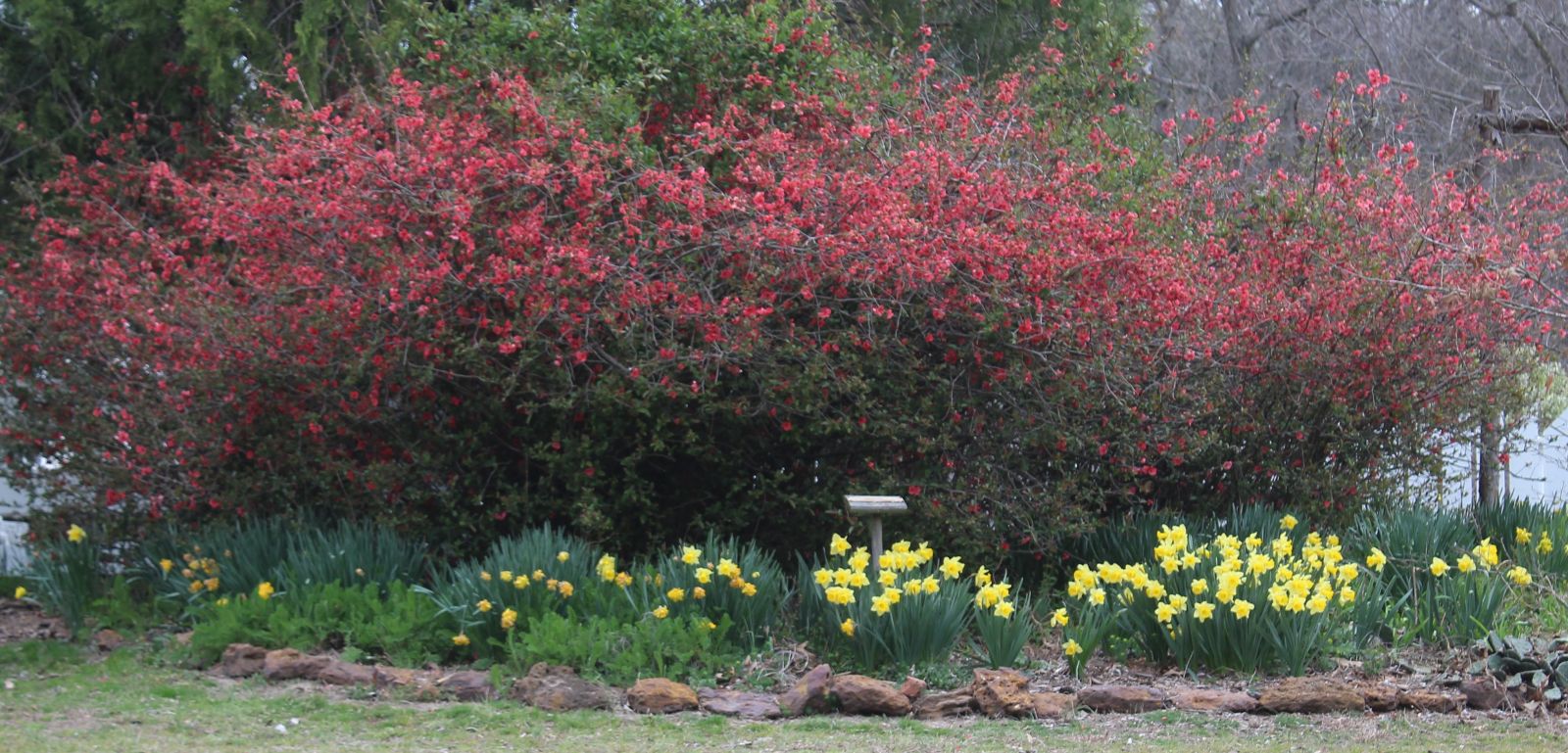 2023 right side of Kitchen Garden