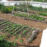 Gardens