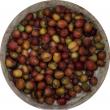 Chickasaw Plums
