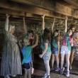 200 Years Old Timbers