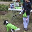  HR 2018-10-28 Pet Parade 024 Maggie 03 Slime.jpg