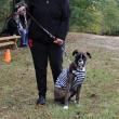 HR 2018-10-28 Pet Parade 067 Parade Winner Best Scariest Luna Prisoner Text