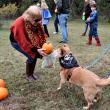 HR 2018-10-28 Pet Parade 076 Parade Spectators 008.jpg