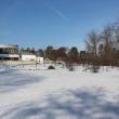 February 2019 Snow