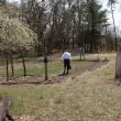 Chickasaw Plum Grove at Hancock's Resolution