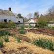 Kitchen Garden at Hancock's Resolution