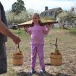 Yoke and Well Buckets at Hancock's Resolution