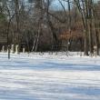 Grave Yard