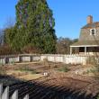 Kitchen Garden