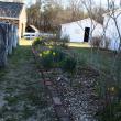 Door Step Garden